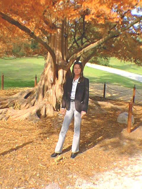 1113_001.jpg (63731 bytes)